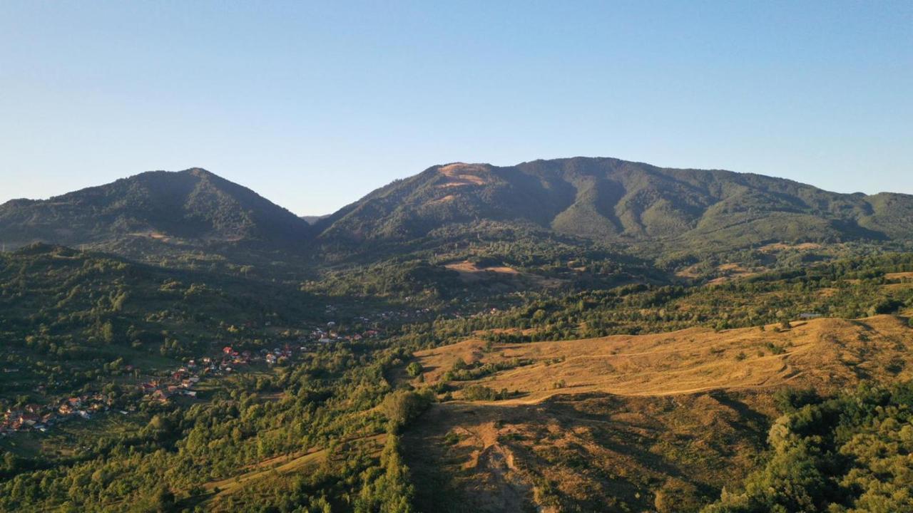 Cabanele Lu' Dinu Curtea De Arges Exterior photo
