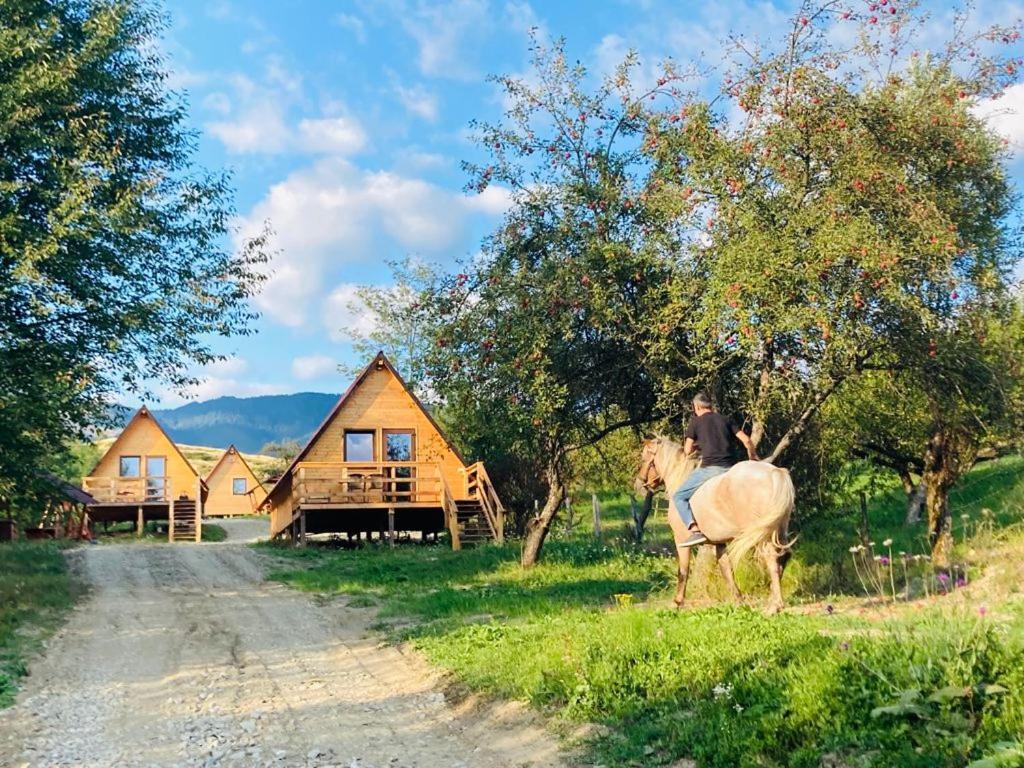 Cabanele Lu' Dinu Curtea De Arges Exterior photo